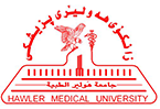 Hawler Medical University